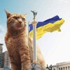 Логотип телеграм канала @yaderniy_kit — ядерний❤️🇺🇦