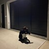 Логотип телеграм канала @yadiggmalf — yadiggmalf
