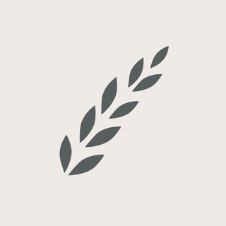 Логотип телеграм канала @yadomaofficial — YADOMA