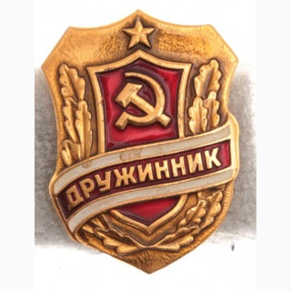Логотип телеграм канала @yadrujinnik — Дружинник