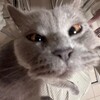 Логотип телеграм канала @yaebuuuuuuuu — тру закатик