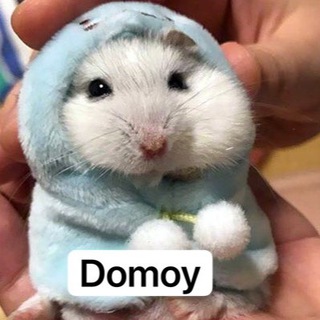 Логотип телеграм канала @yagarantdomoy — 𝓓𝓸𝓶𝓸𝔂