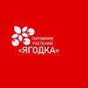 Логотип телеграм канала @yagodkavlru — Питомник растений «Ягодка».Саженцы Владивосток-Артём.Саженцы Приморский край.