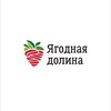 Логотип телеграм канала @yagodnaya_dolina — Ягодная Долина