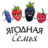 Логотип телеграм канала @yagodnayasemya31reg — Ягодная семья