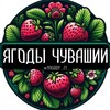 Логотип телеграм канала @yagody_21 — Ягоды Чувашии