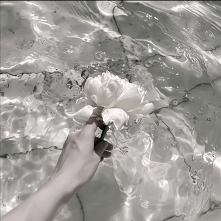 Логотип телеграм канала @yakaamozz — |°yakamoz°|