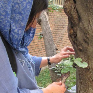 Logo of telegram channel yaldaebtehaj — Yalda Ebtehaj