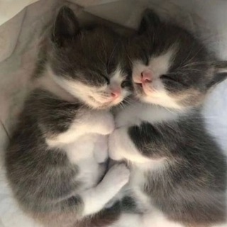 Логотип телеграм канала @yalublu_you — люблю