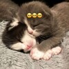 Логотип телеграм канала @yalublyteb — люблю