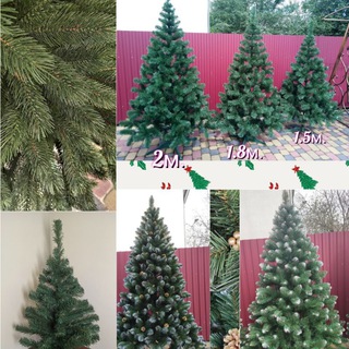 Логотип телеграм -каналу yalynky_uk — Ялинки🎄