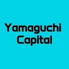 Логотип телеграм канала @yamaguchicapital — Yamaguchi Capital 🔥