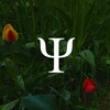 Telegram channel yamessage | психиатрия Ψ logo