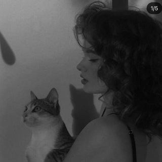 Логотип телеграм -каналу yanayerr — — 𝑩𝑳𝑨𝑪𝑲✧.