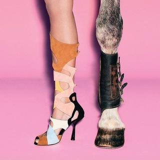 Логотип телеграм канала @yanayezdnitsa — Наездница