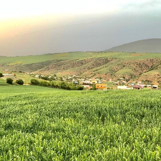 لوگوی کانال تلگرام yanehsar_hezarjerib — یانه سر هزارجریب