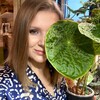 Логотип телеграм канала @yanniplants — Yanni Plants