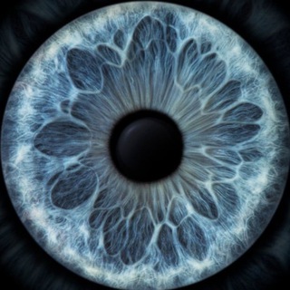 Лагатып тэлеграм-канала yaodnaizvas — odnaizvas