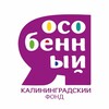Логотип телеграм канала @yaosobenniy_fond39 — Калининградский фонд "Я ОСОБЕННЫЙ"