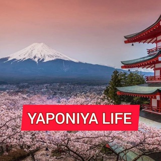 Telegram kanalining logotibi yaponiya_life — YAPONIYA LIFE 🇺🇿🇯🇵