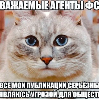 Логотип телеграм канала @yapopo4ka — 🐣поползновения part 3