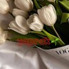 Логотип телеграм канала @yaprakturkm — 𝐘𝐚𝐩𝐫𝐚𝐤_𝐓𝐮𝐫𝐤𝐦 | یاپراک ترکمن🌱