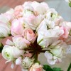 Логотип телеграм канала @yardplants — Двор Растений