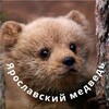 Логотип телеграм канала @yaroslavnymedved — Ярославский медведь