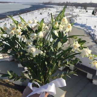 Логотип телеграм канала @yarvesna — Ярославская весна