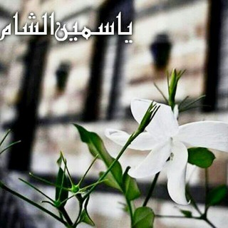 لوگوی کانال تلگرام yasmmin_alsham — يـَاسـمّين♡الـشّـام🌸