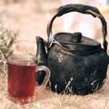لوگوی کانال تلگرام yasyas55 — شاهي