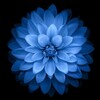 Логотип телеграм канала @ydivifacts — Удивительные факты Вашего мира