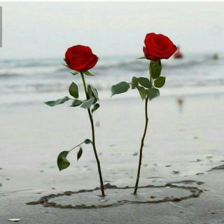 የቴሌግራም ቻናል አርማ yefkr_hiwat — ♡ፍቅር አና ሂወት♡