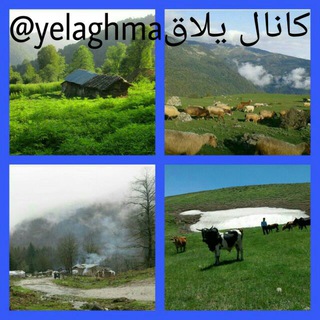 لوگوی کانال تلگرام yelaghma — یلاق
