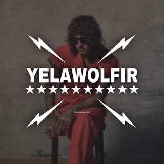 Logo of telegram channel yelawolfir — YELAWOLF IR ™
