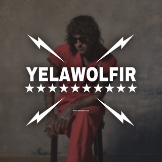 Telegram kanalining logotibi yelawolfir — YELAWOLF IR ™