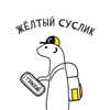 Логотип телеграм канала @yellow_suslik — жёлтый суслик😉🐹