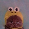 Логотип телеграм канала @yingandyang_1 — Анкеты и прочее