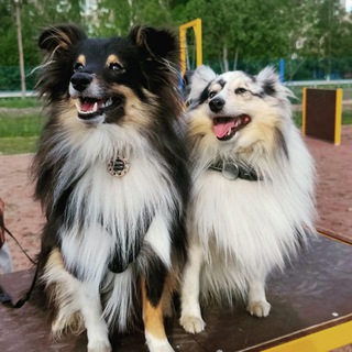Логотип телеграм канала @yletniykaif — ЮМОР с КАЙФОМ😜