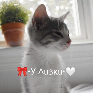Логотип телеграм канала @ylizki — 🎀•У 𐌡ᥙᤋκᥙ•🤍•°ρr᧐᧐fs 27 •°