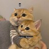 Логотип телеграм канала @ym_muremarie — Аналитика для самых маленьких