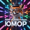 Логотип телеграм канала @ymor777 — 🐾 Мир Животных: Юмор 😁
