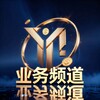 Telegram channel YNpay-海外服务频道 logo