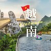 电报频道的标志 ynsjdh — 越南商家导航