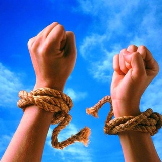 Логотип телеграм канала @yofreedom — Your Freedom | Քո Ազատությունը