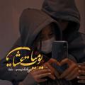 Logo saluran telegram yomy3sh3k — تم ايقاف القناة