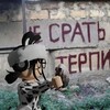 Логотип телеграм канала @yonproofs — Килька на месте