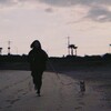 Логотип телеграм канала @yoohomies — чонхоумис