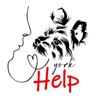 Логотип телеграм канала @yorkhelp — YORKHELP