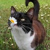 Логотип телеграм канала @you_thxs — ты